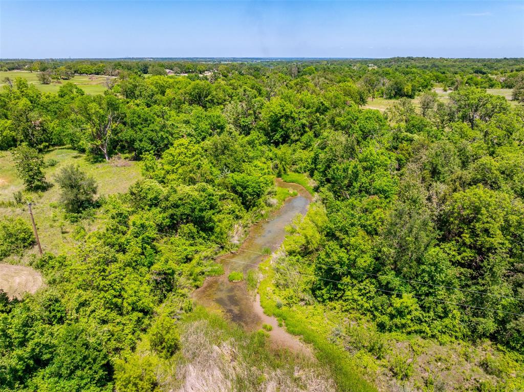 1874 County Road Springtown, TX 76082 - Photo 11 of 24 a view of a green field with lots of plants