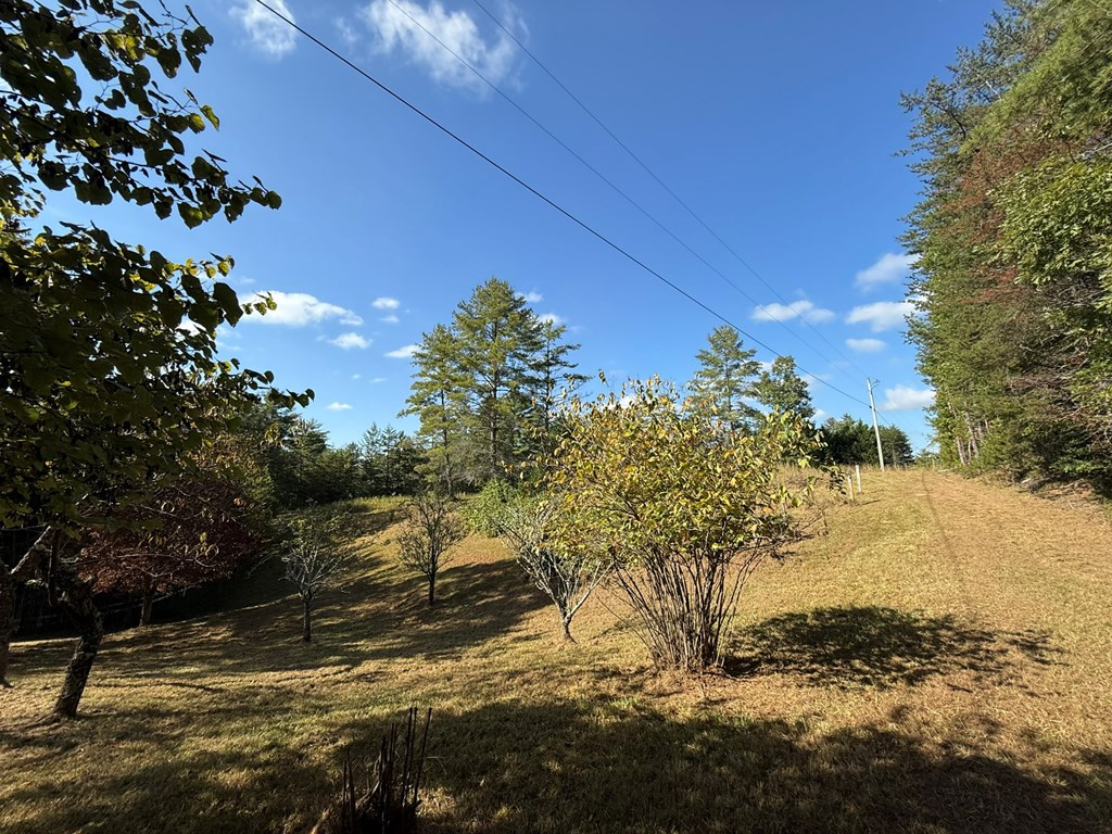28 Joyce Road Murphy, NC 28906 - Photo 35 of 55 the orchard