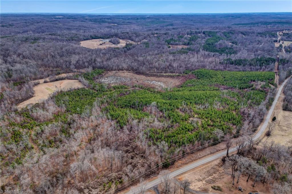 0 Lick Fork Creek Road Ruffin, NC 27326 - Photo 10 of 32 Gallery Image 10