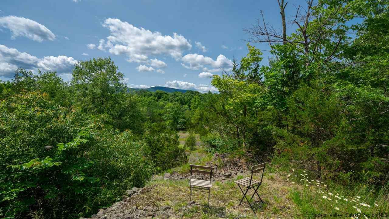 209-211 Fish Creek Road Saugerties, NY 12477 - Photo 25 of 35 a green field with lots of bushes