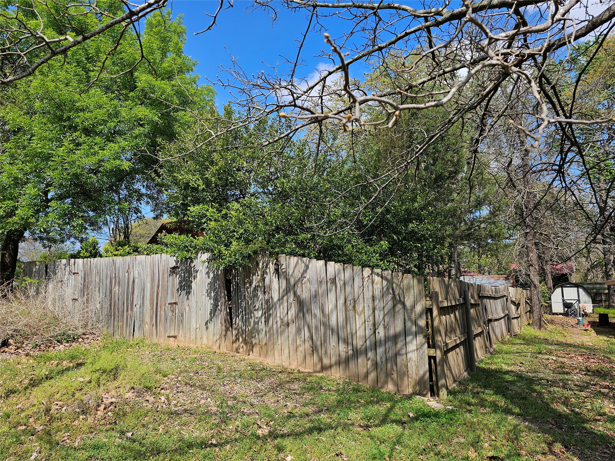 216 Westwood Road Palestine, TX 75803 - Photo 18 of 23 a view of yard with tree