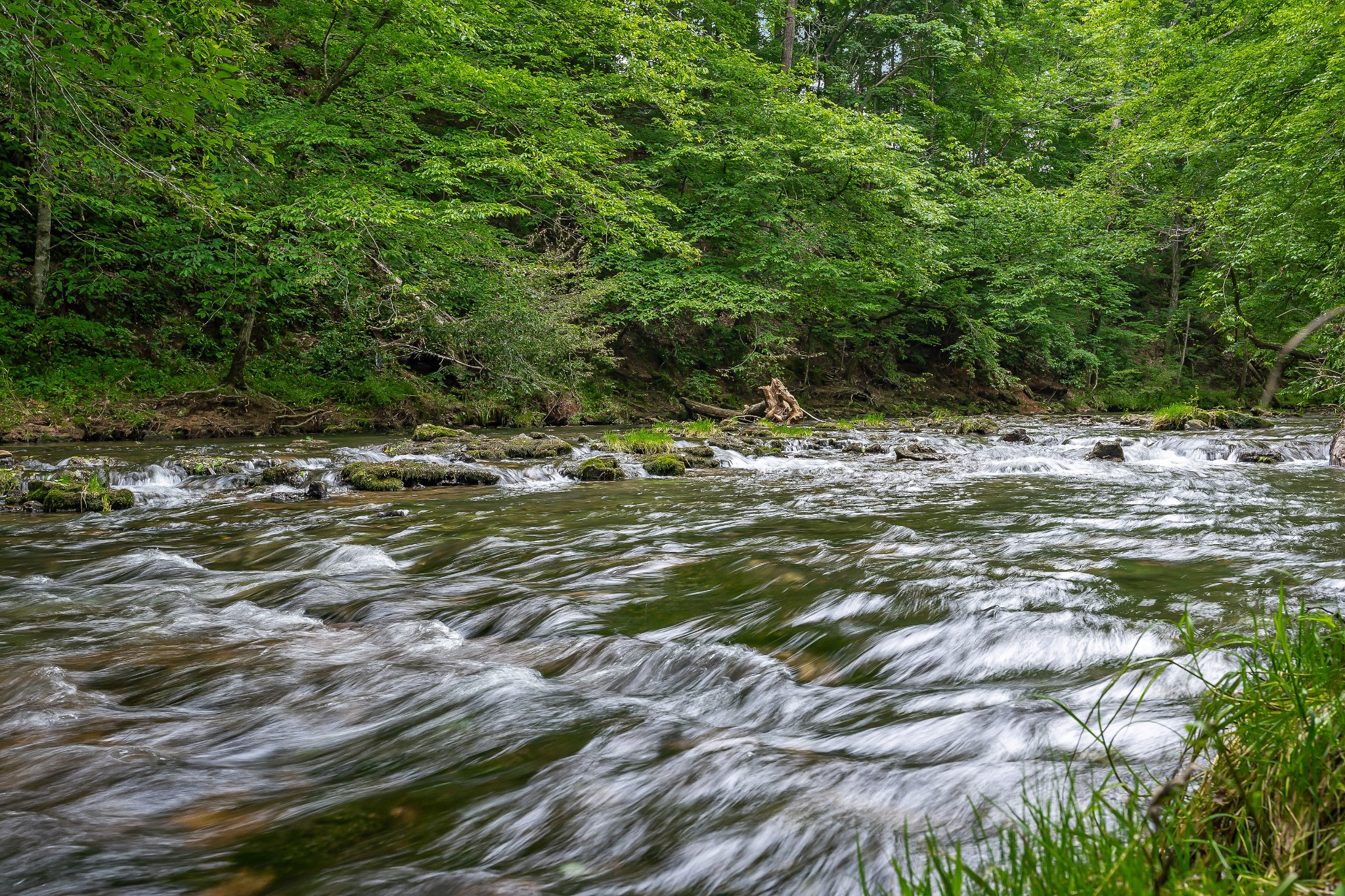 0 7 Springs Road Smithville, TN 37166 - Photo 25 of 54 Gallery Image 25