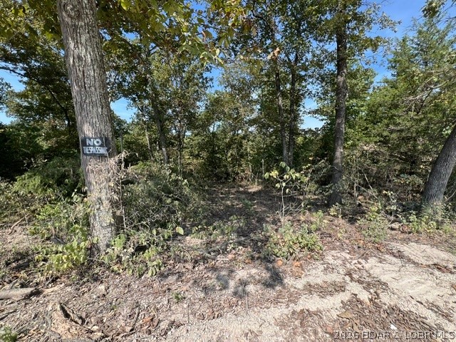 Tbd Hittridge Road Eldon, MO 65026 - Photo 5 of 19 Path to the back of the property