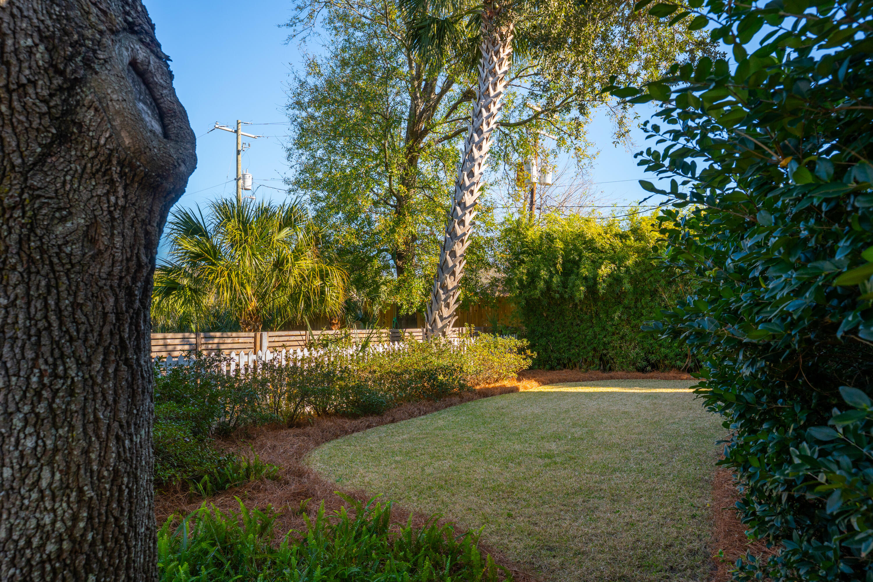 764 Rutledge Avenue Charleston, SC 29403 - Photo 41 of 41 764RutledgeAvenue-KeenEyeMarketing-005