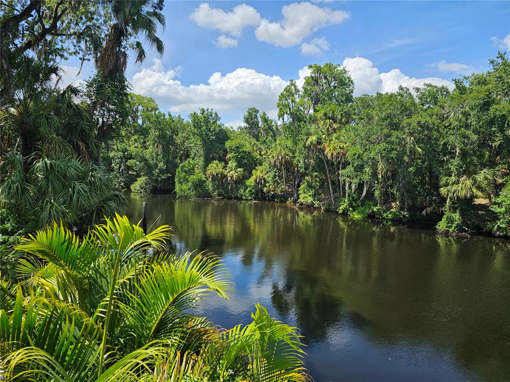 7248 Alafia Ridge Loop Riverview, FL 33569 - Photo 1 of 1 You don’t want to miss this rare riverfront property that offers peace and tranquility.