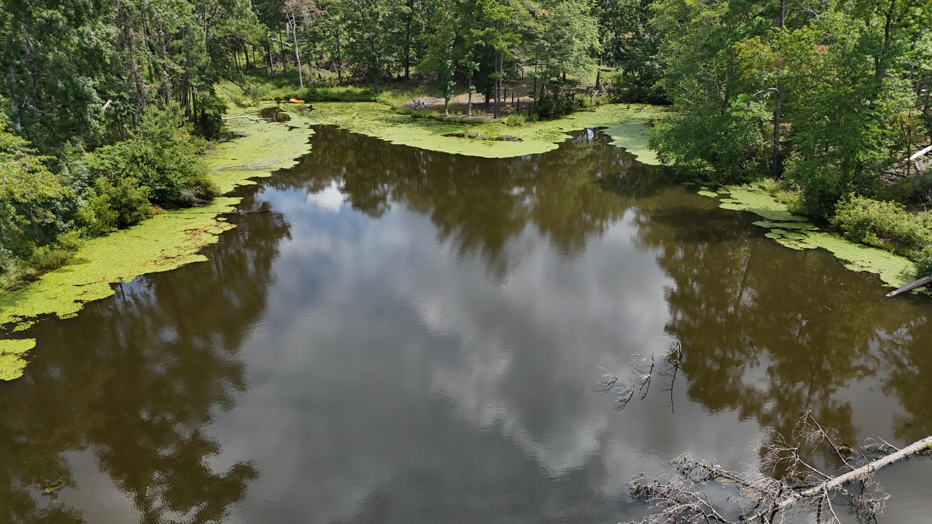 0 Hummingbird Drive Trenton, SC 29847 - Photo 4 of 14 DJI_20250831132808_0371_D