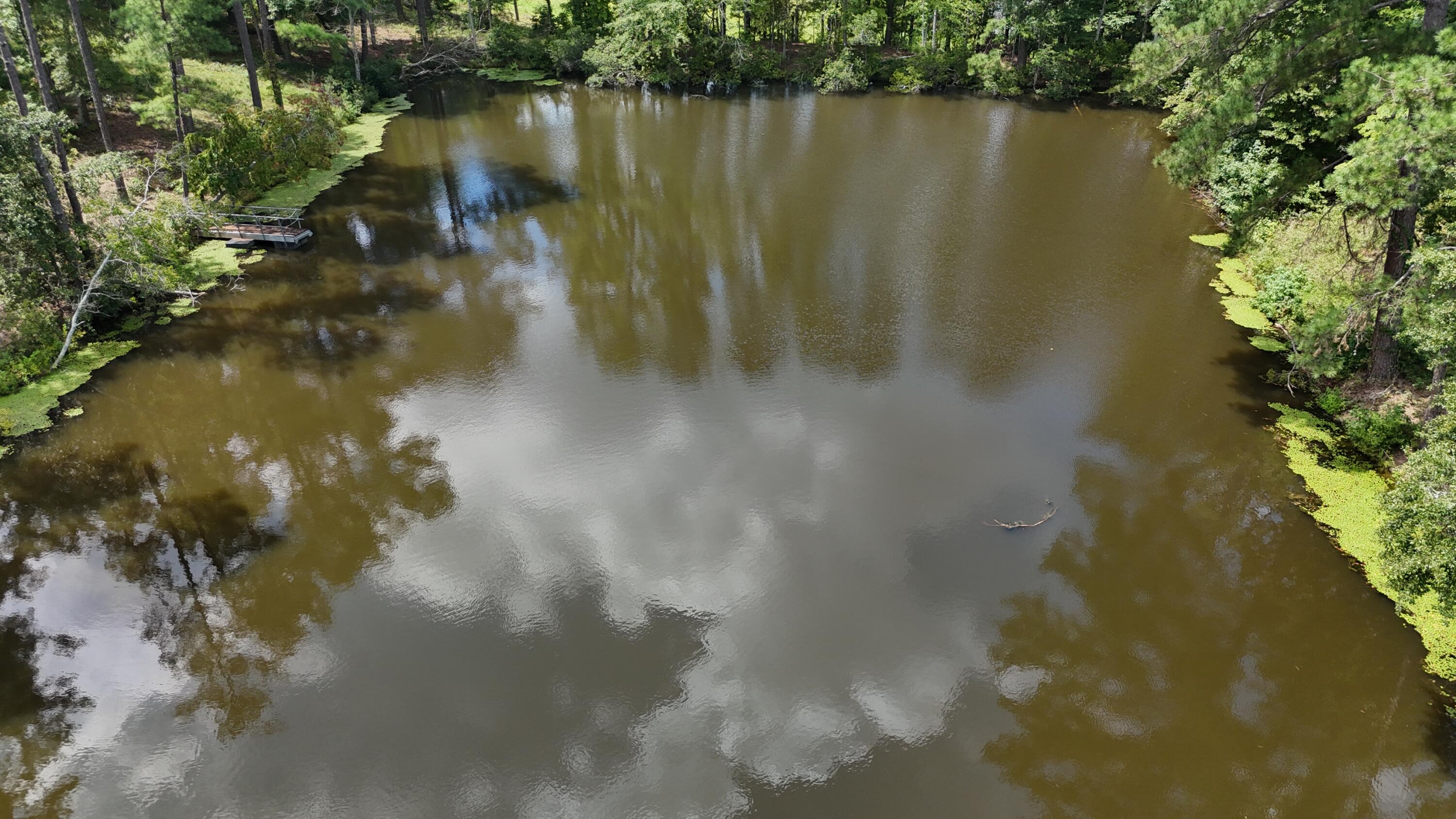 0 Hummingbird Drive Trenton, SC 29847 - Photo 5 of 14 DJI_20250831132831_0372_D