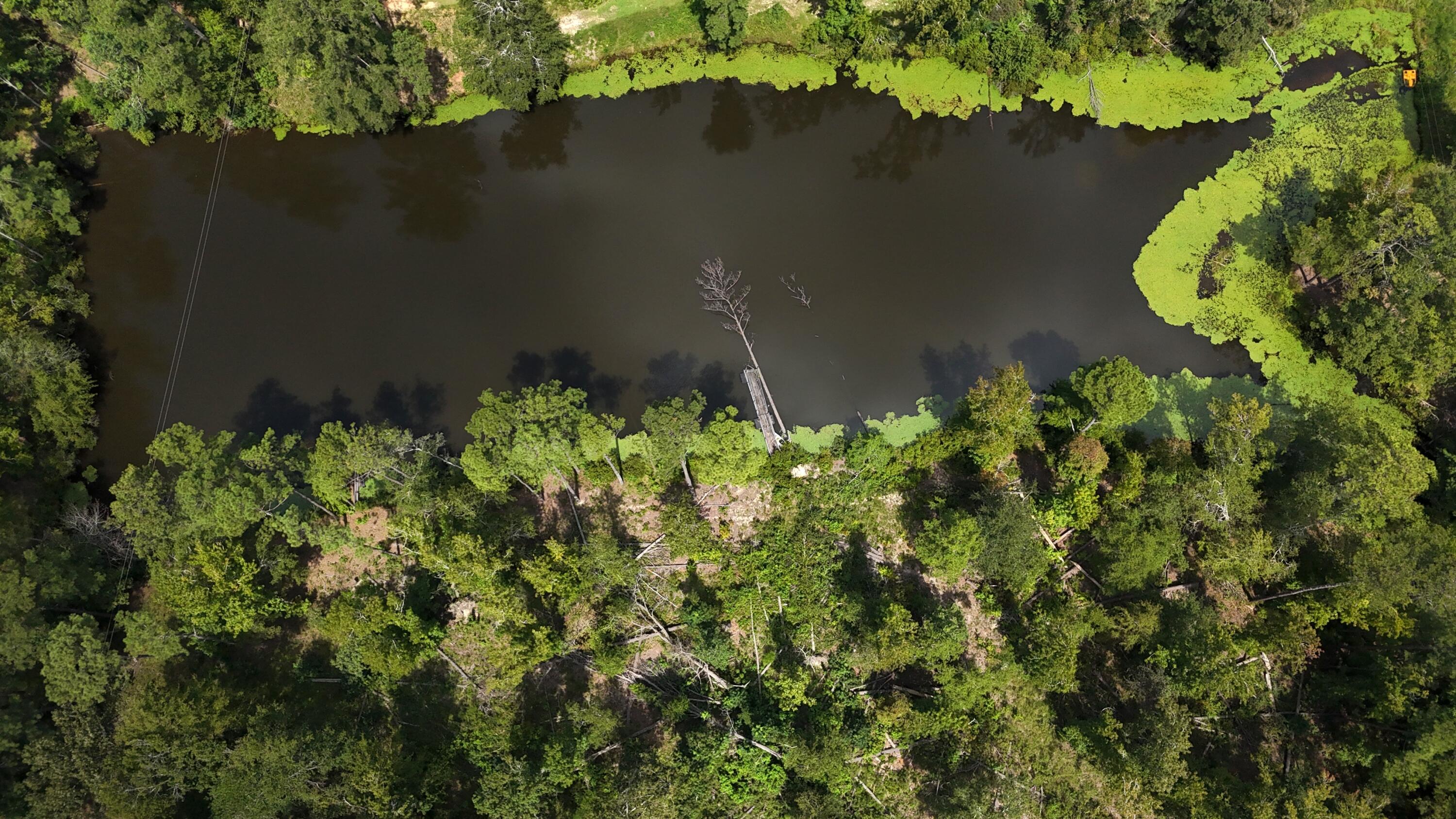 0 Hummingbird Drive Trenton, SC 29847 - Photo 7 of 14 DJI_20250831131950_0360_D