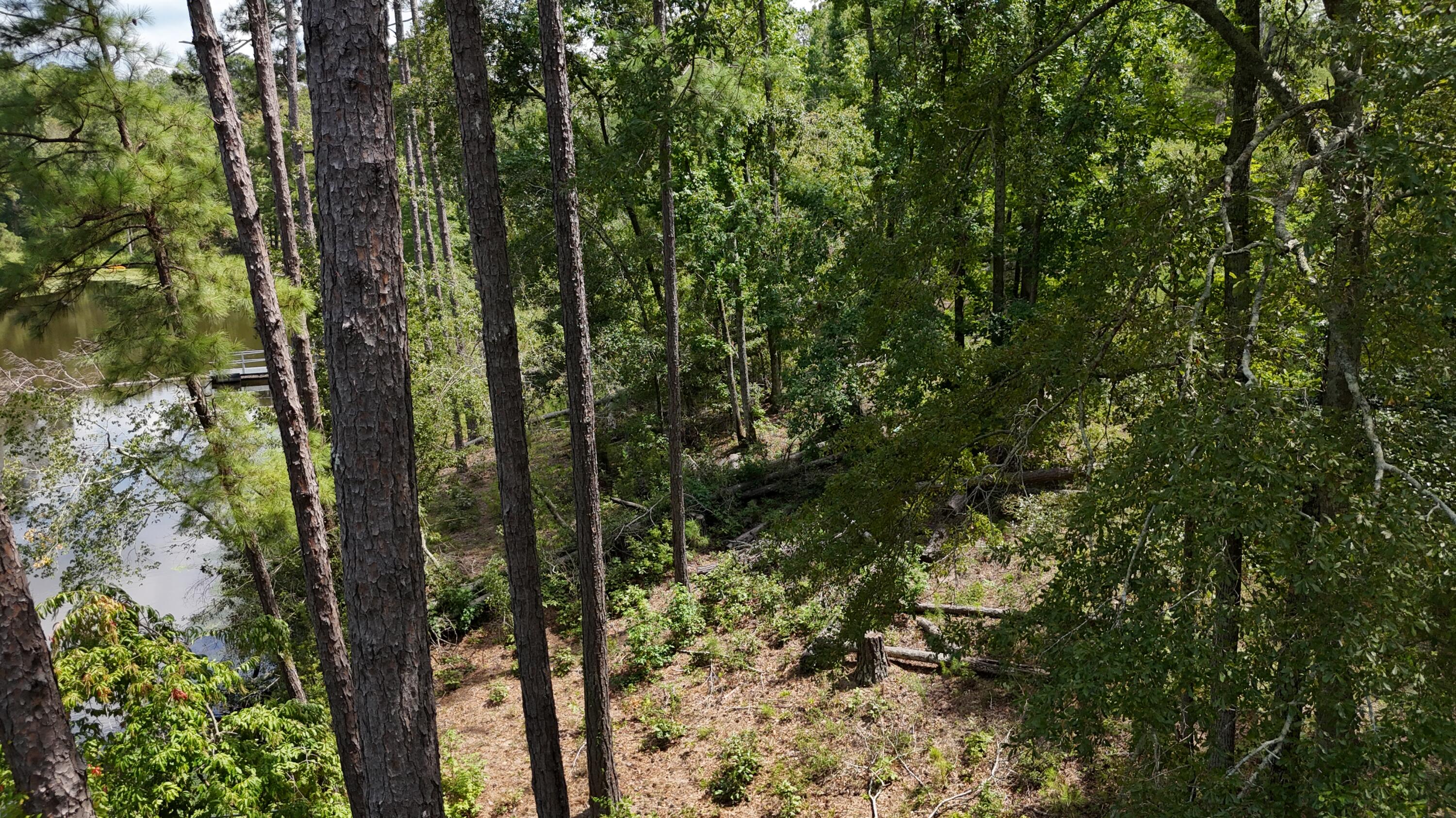 0 Hummingbird Drive Trenton, SC 29847 - Photo 8 of 14 DJI_20250831133130_0374_D