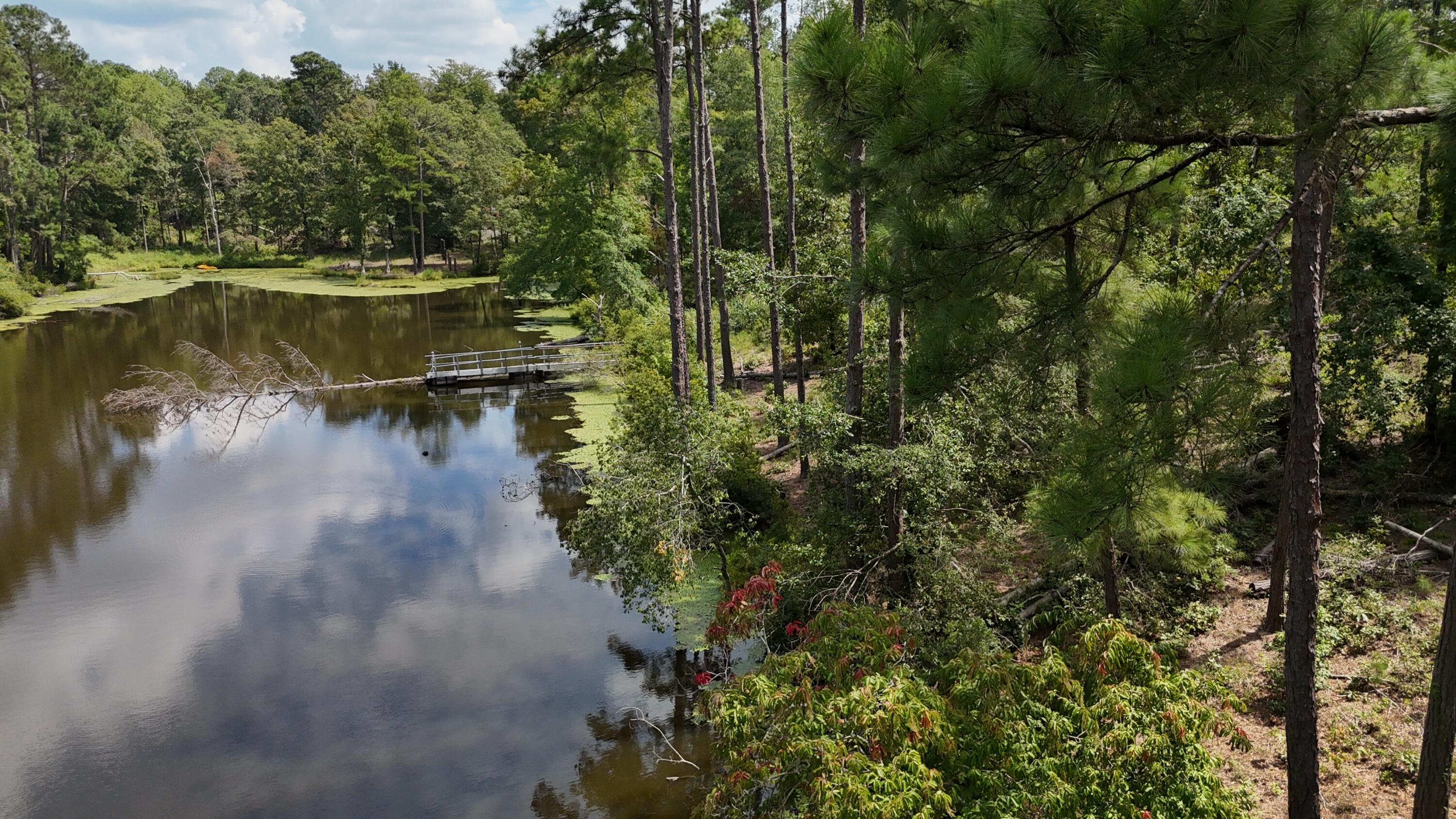 0 Hummingbird Drive Trenton, SC 29847 - Photo 10 of 14 DJI_20250831133150_0375_D