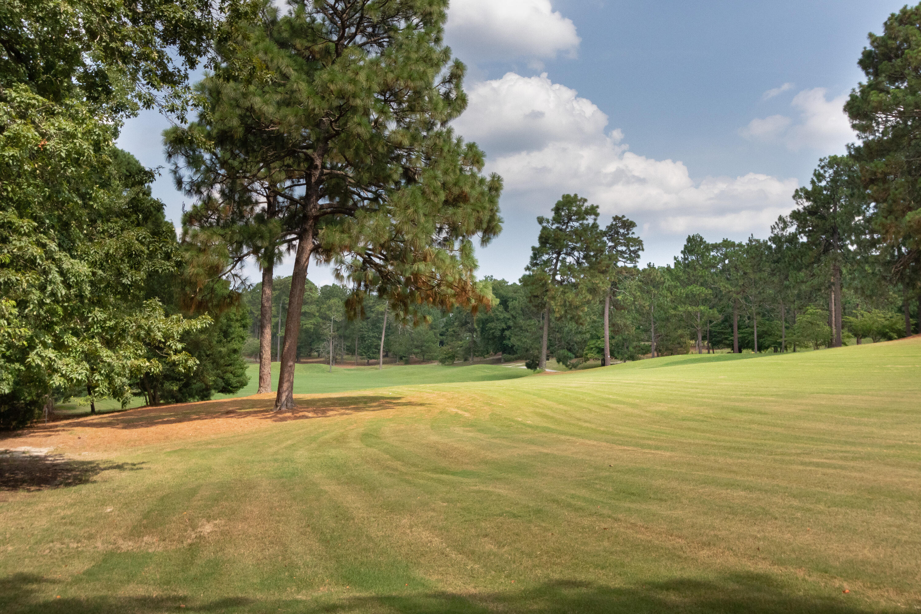 124 Morgan Street Pooler, GA 31322 - Photo 25 of 55 IMG_7833