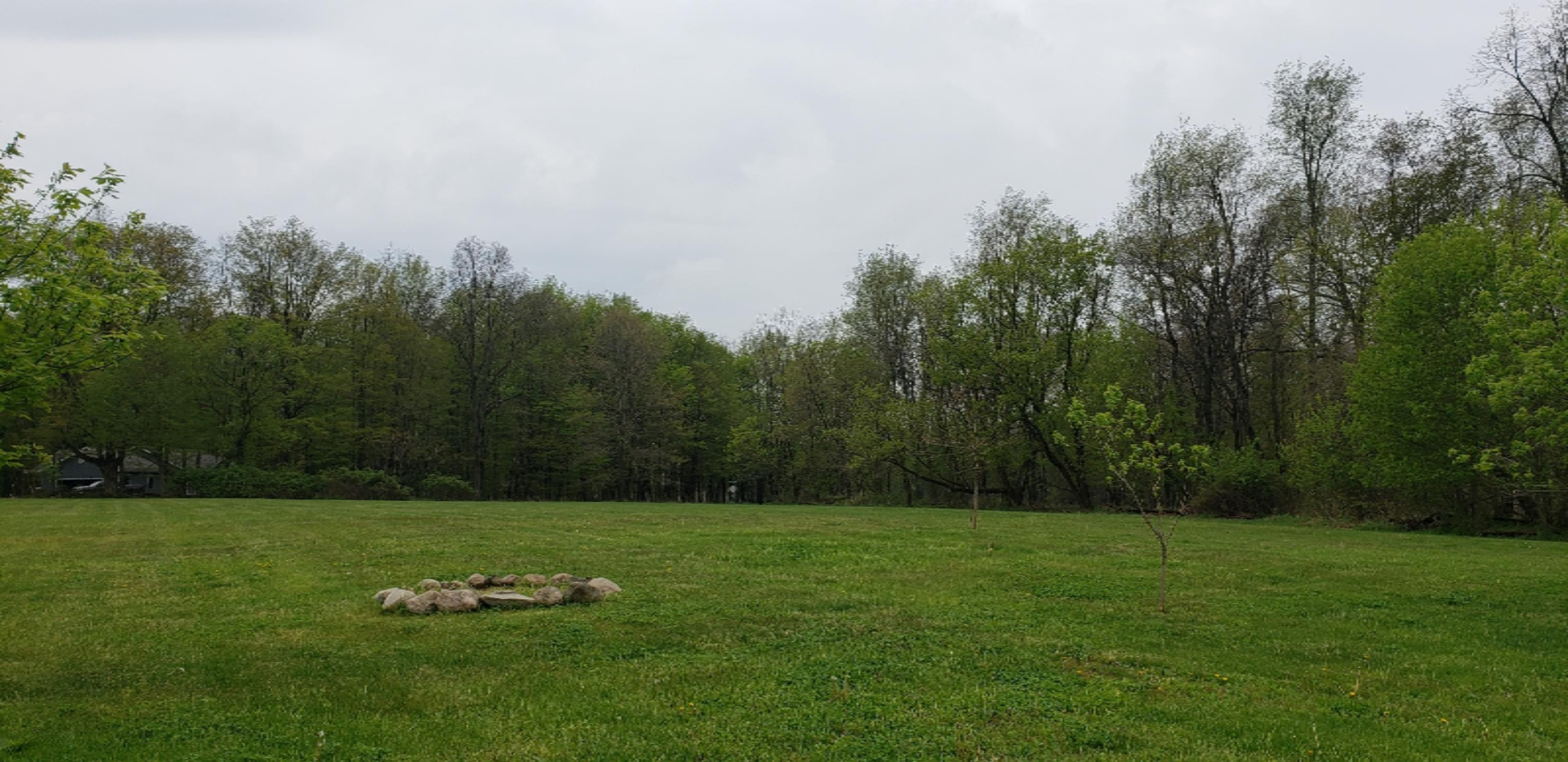 7091 Rainey Road Jonesville, MI 49250 - Photo 17 of 24 20200517_153621