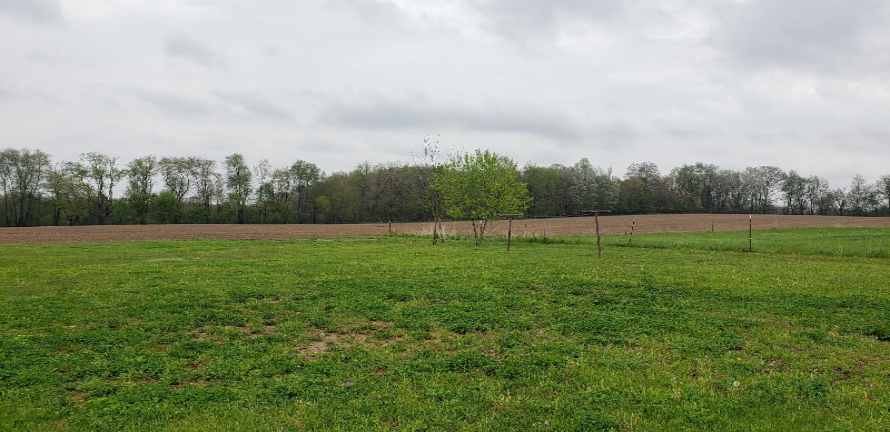 7091 Rainey Road Jonesville, MI 49250 - Photo 18 of 24 20200517_153535