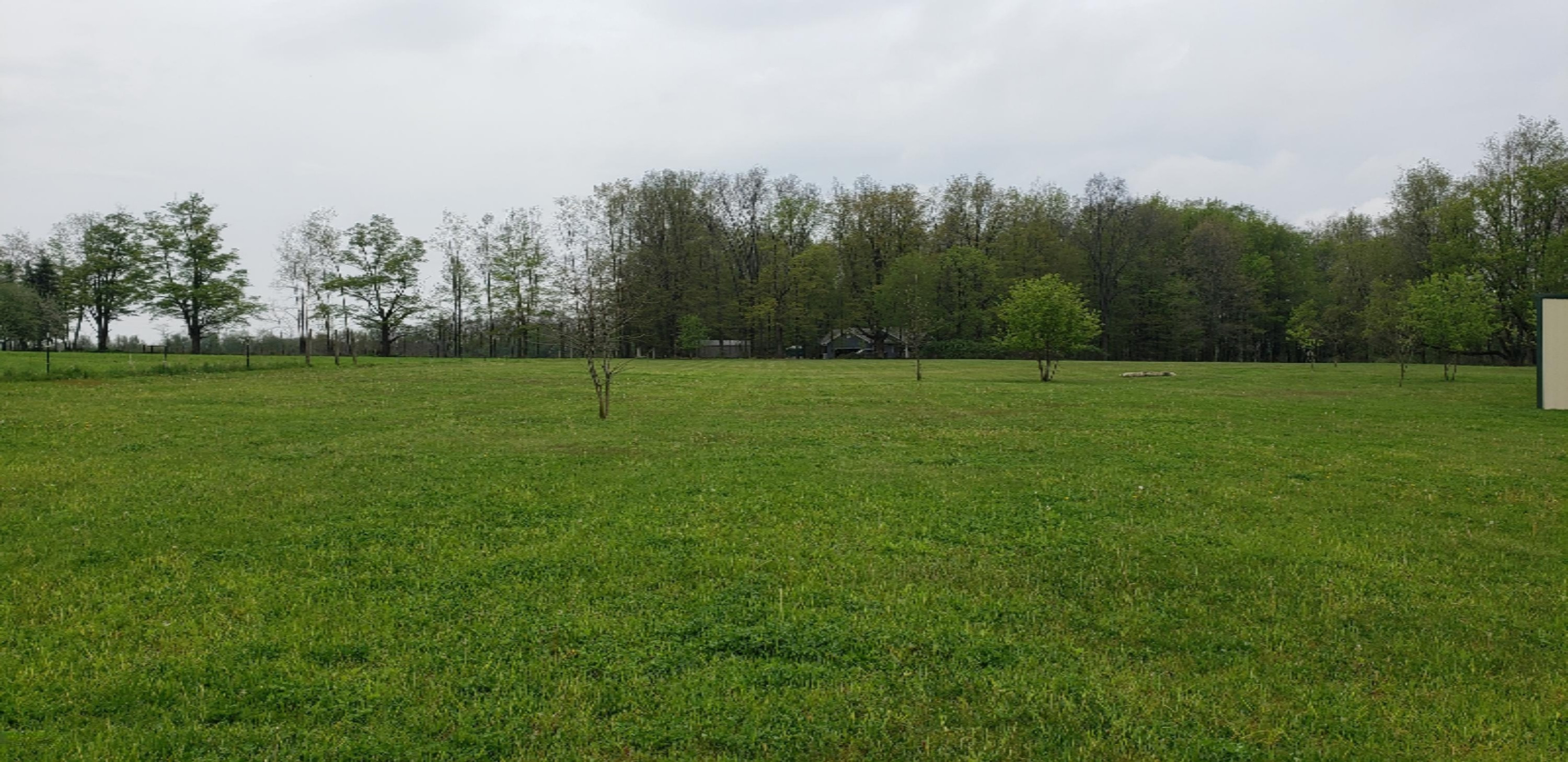 7091 Rainey Road Jonesville, MI 49250 - Photo 19 of 24 20200517_153530