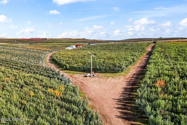 a view of an ocean and beach