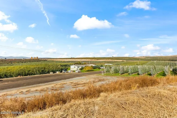 a view of a yard with an trees