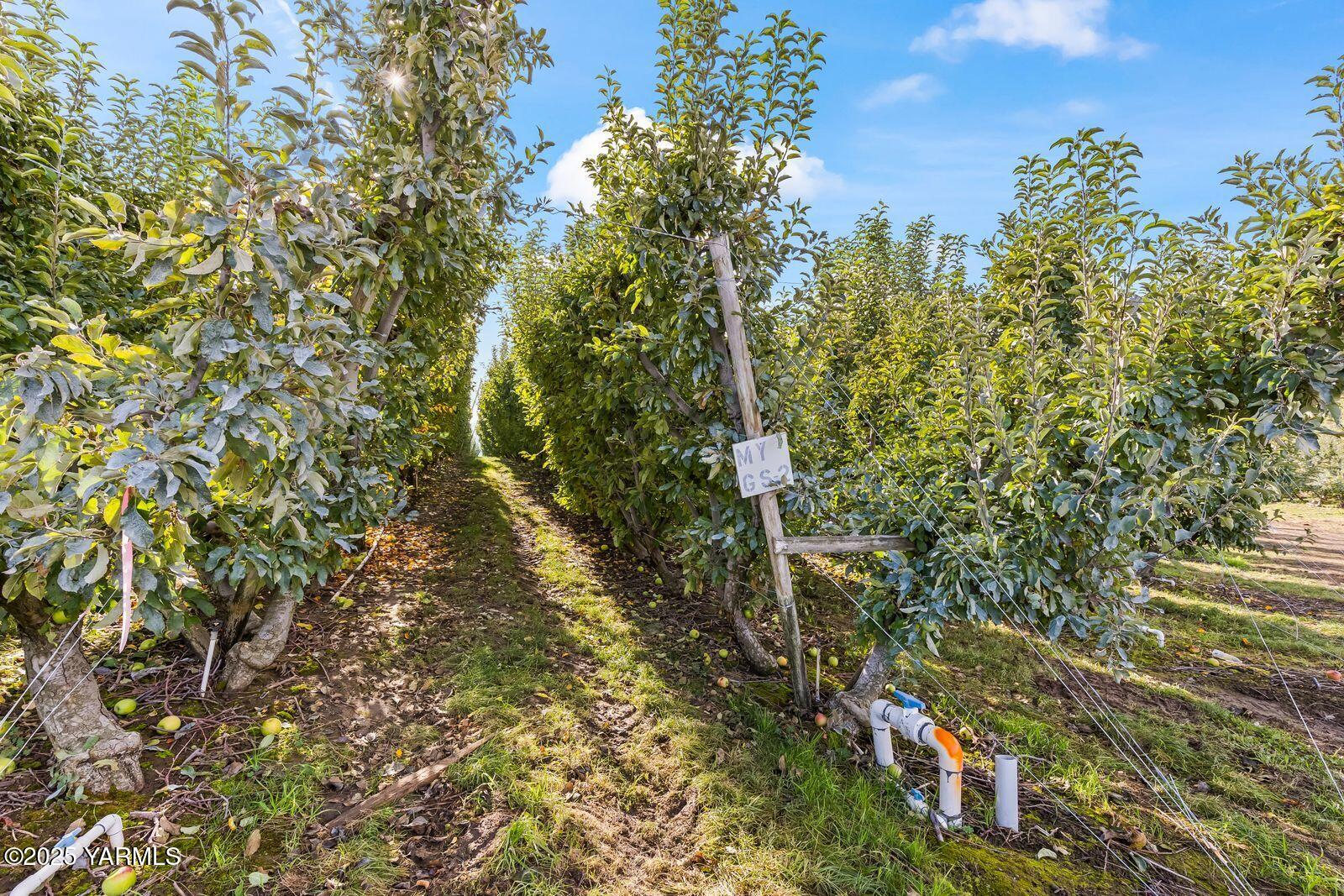 370 Macy Road Zillah, WA 98953 - Photo 7 of 42 a map view of a multi story yard