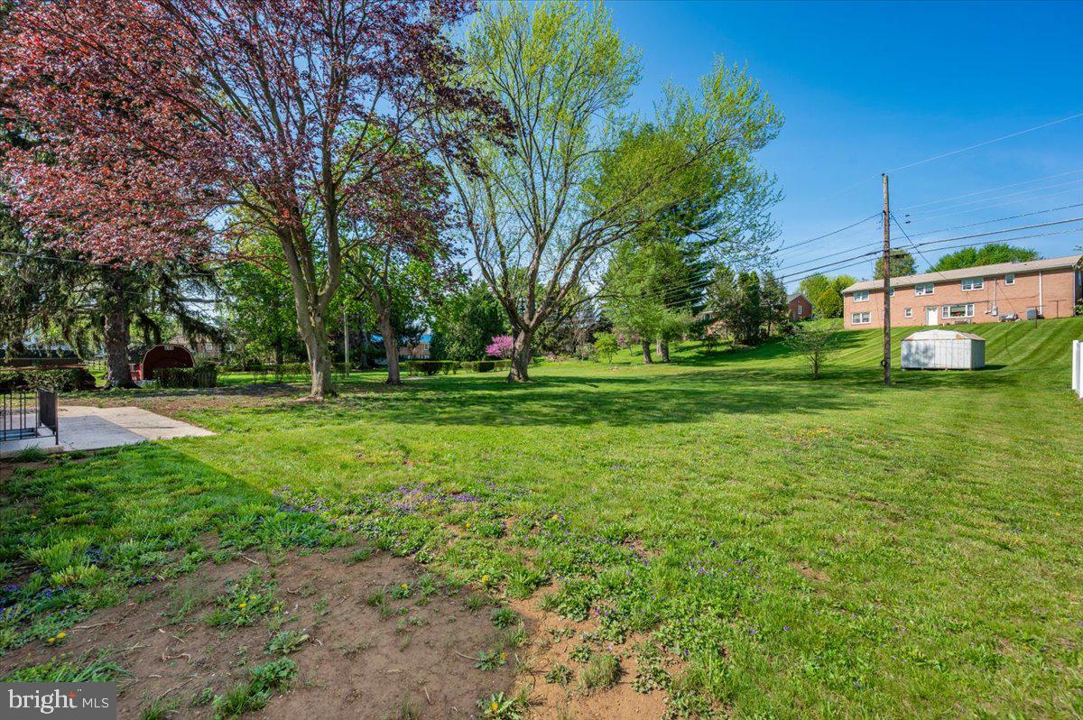 13616 Royal Road Hagerstown, MD 21742 - Photo 43 of 57 Spacious green oasis with vibrant trees.