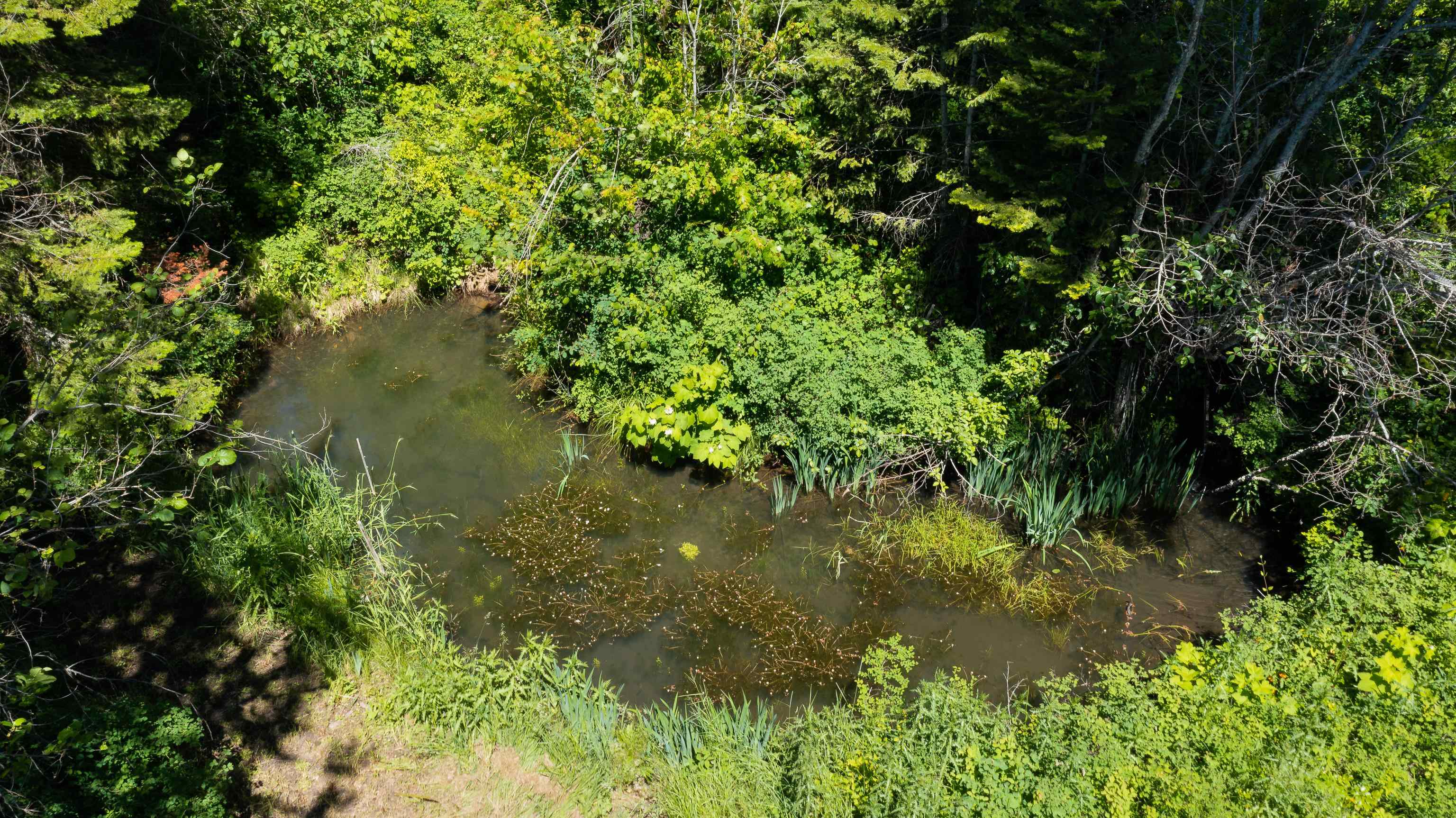 2922 Nicholson Road Elk, WA 99009 - Photo 11 of 26 Gallery Image 11