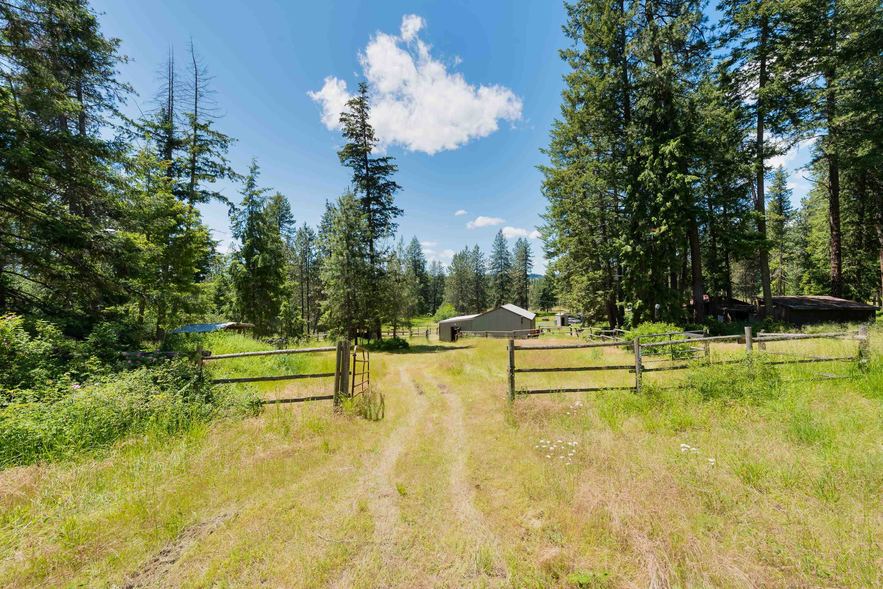 2922 Nicholson Road Elk, WA 99009 - Photo 8 of 26 Gallery Image 8