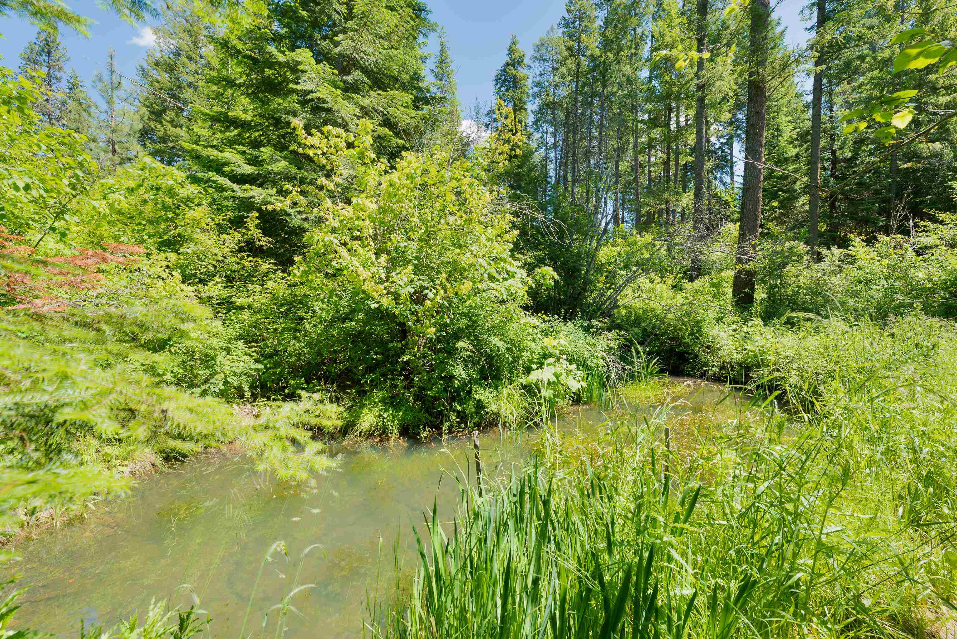 2922 Nicholson Road Elk, WA 99009 - Photo 10 of 26 Gallery Image 10
