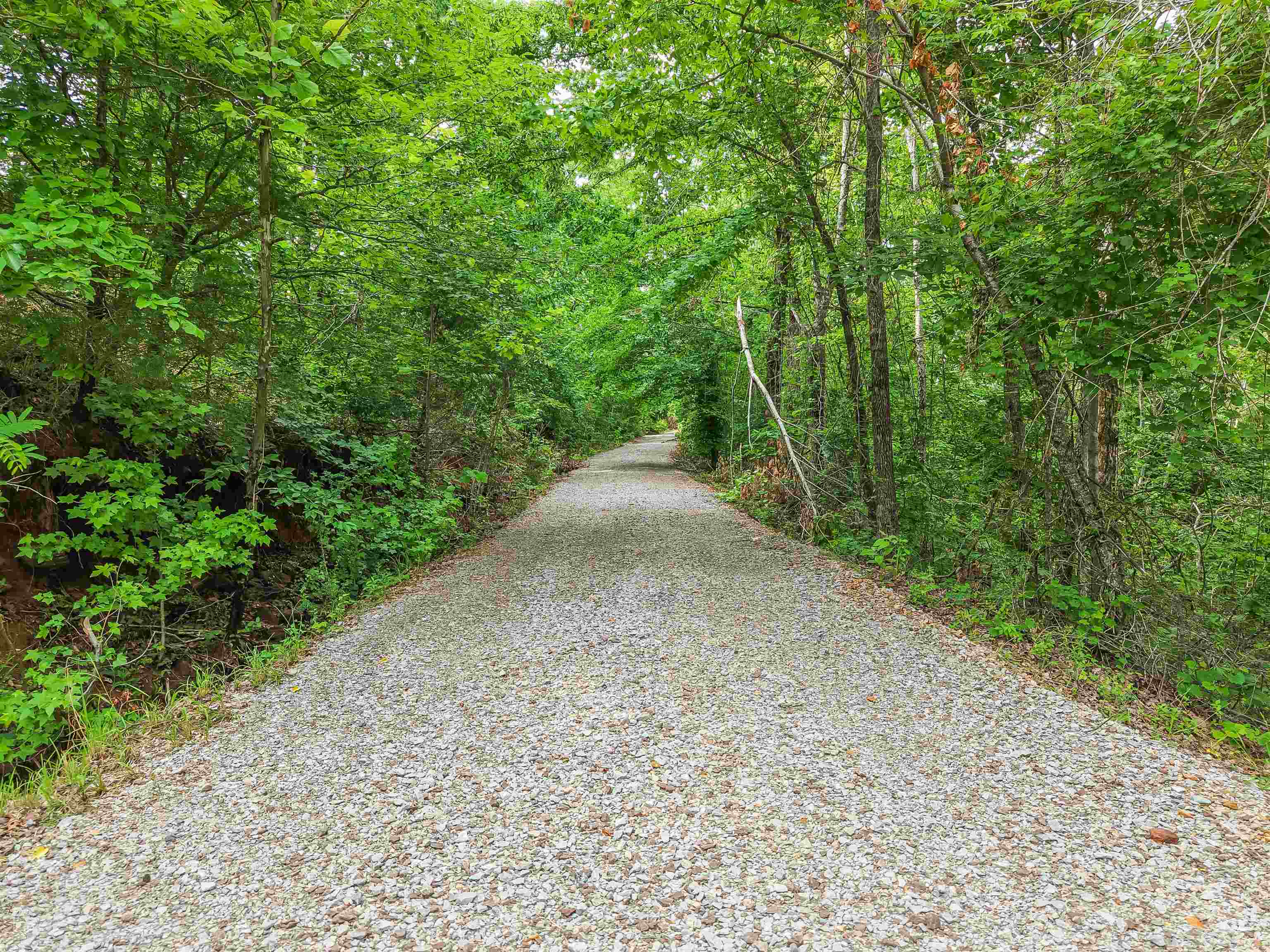 890 Burks Road Savannah, TN 38372 - Photo 39 of 40 a view of a road with a trees in the background