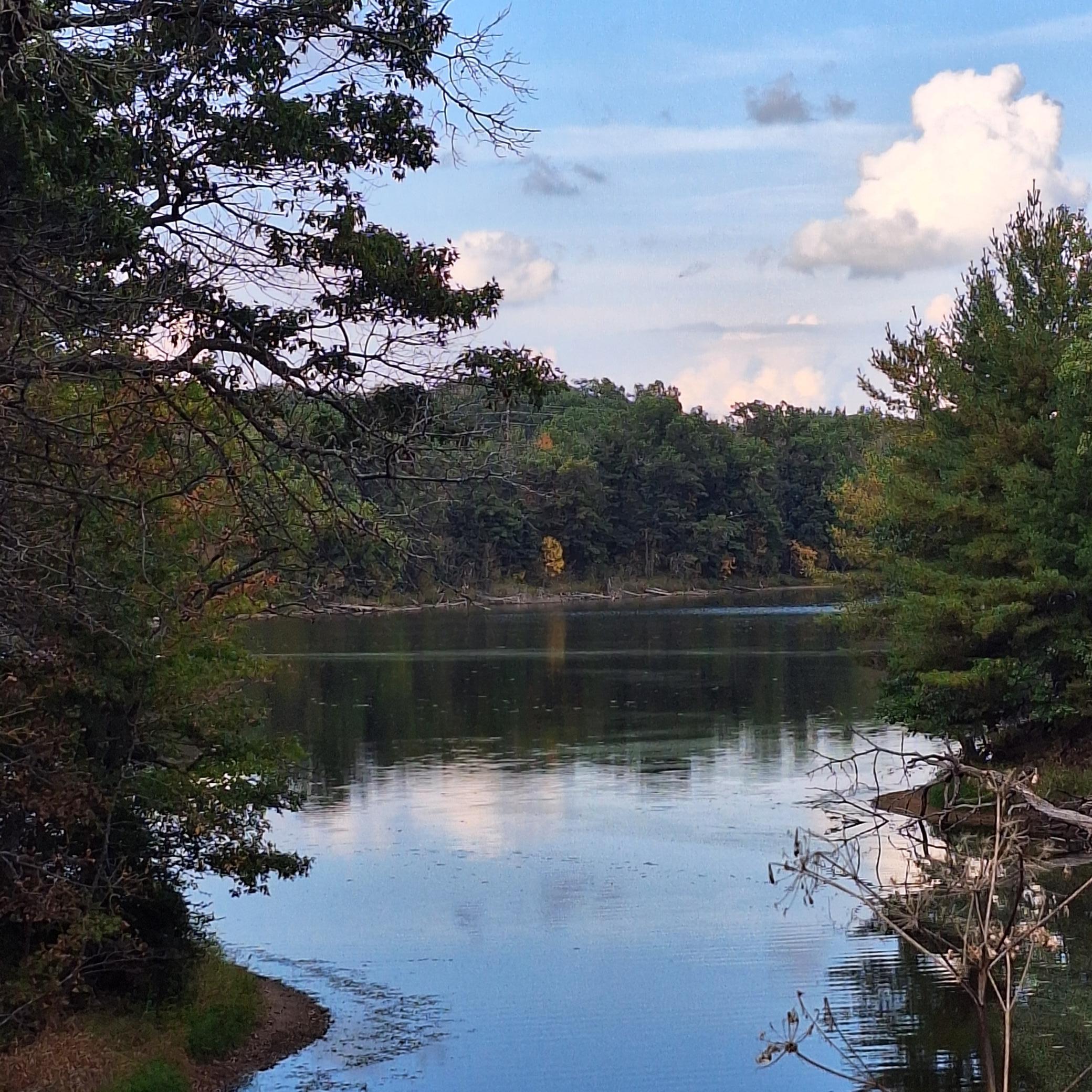 1175 207th Street Baldwin, WI 54002 - Photo 2 of 7