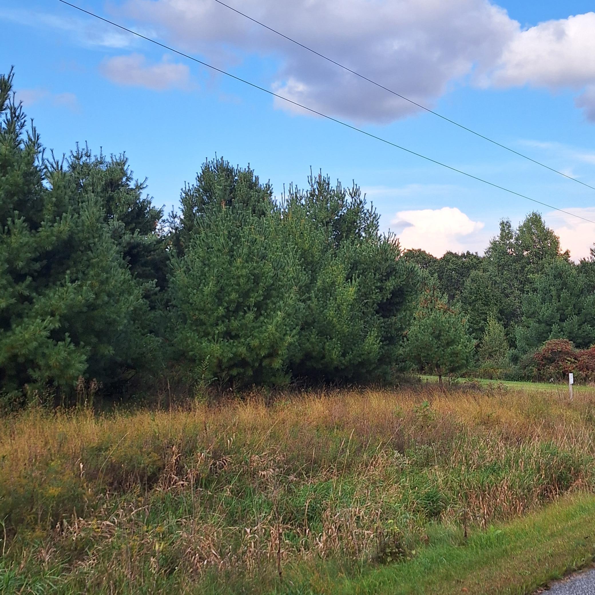 1175 207th Street Baldwin, WI 54002 - Photo 3 of 7