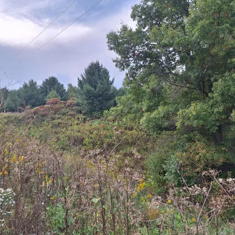 $110,000 | 1175 207th Street, Baldwin, WI 54002