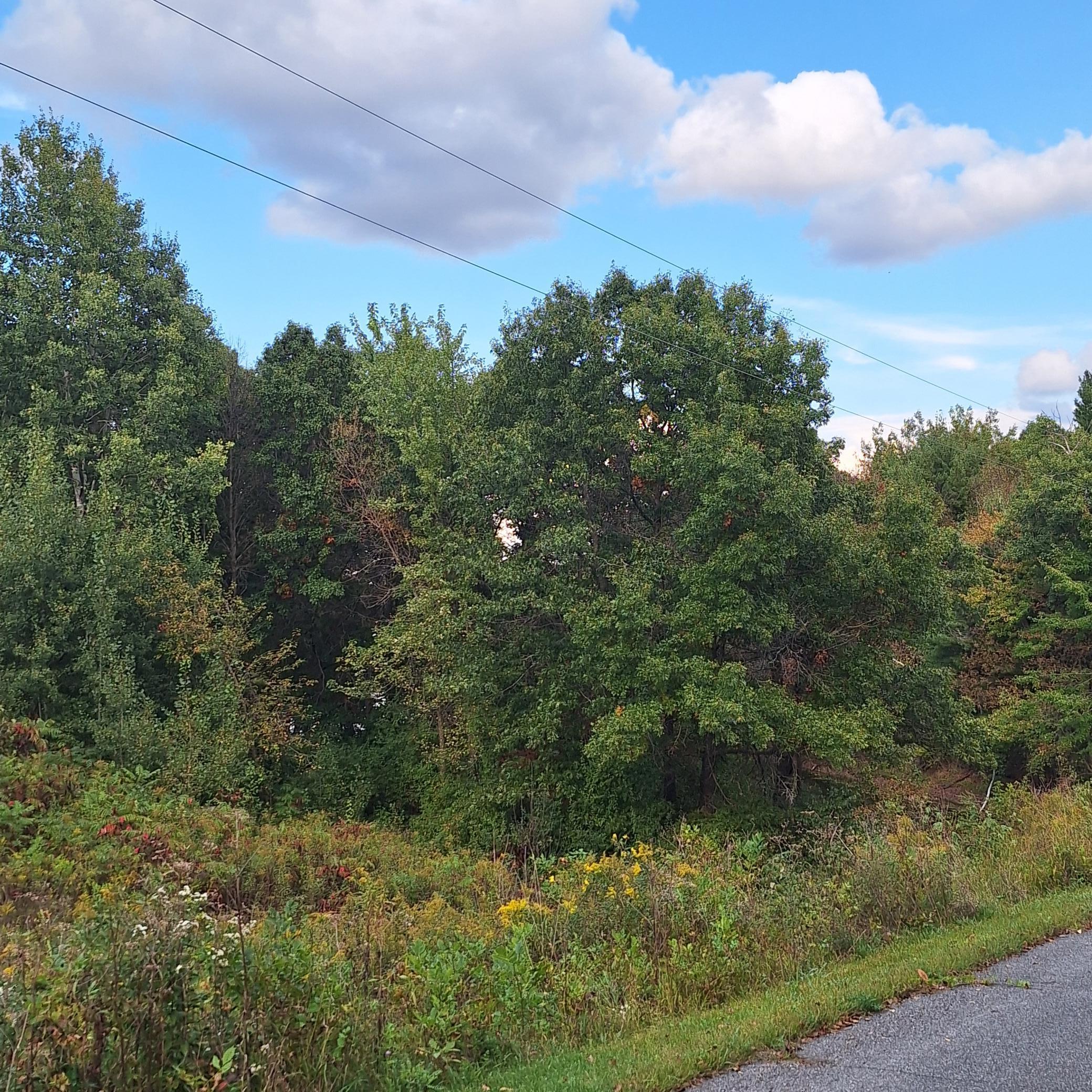 1175 207th Street Baldwin, WI 54002 - Photo 5 of 7