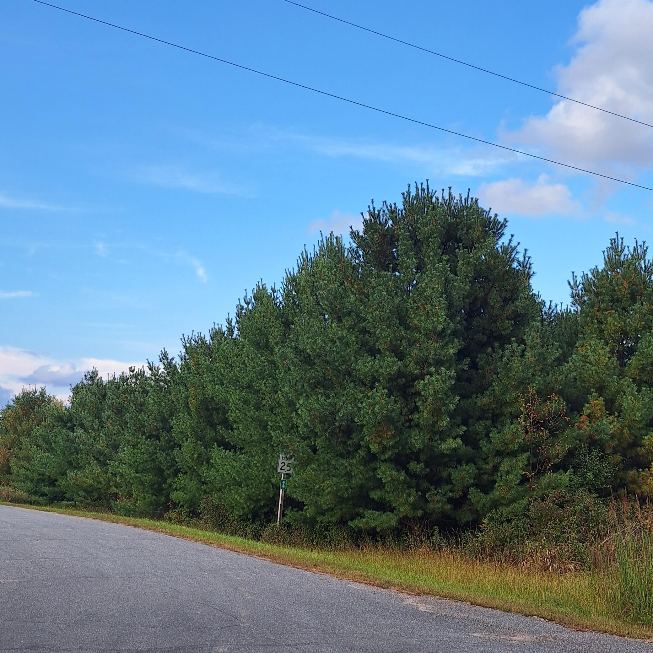 1175 207th Street Baldwin, WI 54002 - Photo 7 of 7