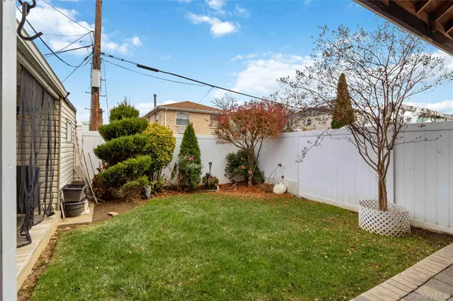 a view of a backyard with potted plants and large tree