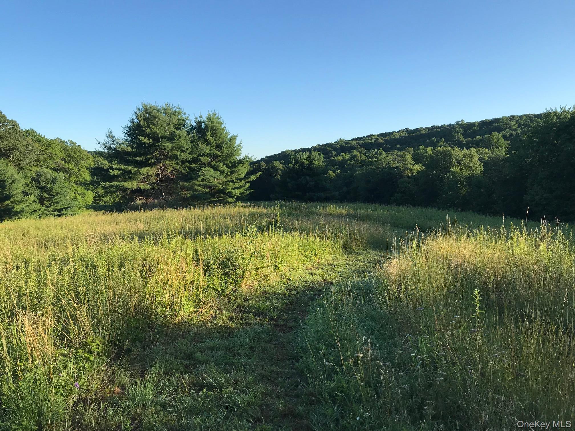 415 Sarles Street Mount Kisco, NY 10549 - Photo 40 of 43 The Nature Conservancy’s 250-acre Eugene & Agnes Meyer Preserve