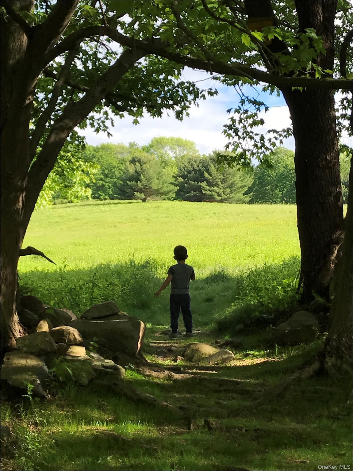 415 Sarles Street Mount Kisco, NY 10549 - Photo 41 of 43 The Nature Conservancy’s 250-acre Eugene & Agnes Meyer Preserve