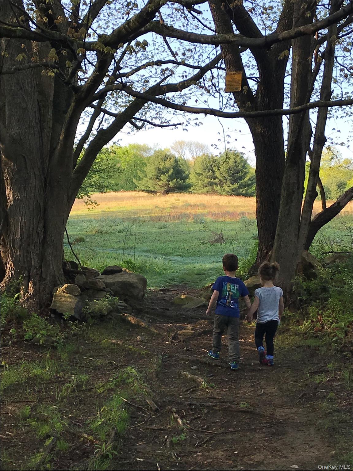 415 Sarles Street Mount Kisco, NY 10549 - Photo 42 of 43 The Nature Conservancy’s 250-acre Eugene & Agnes Meyer Preserve
