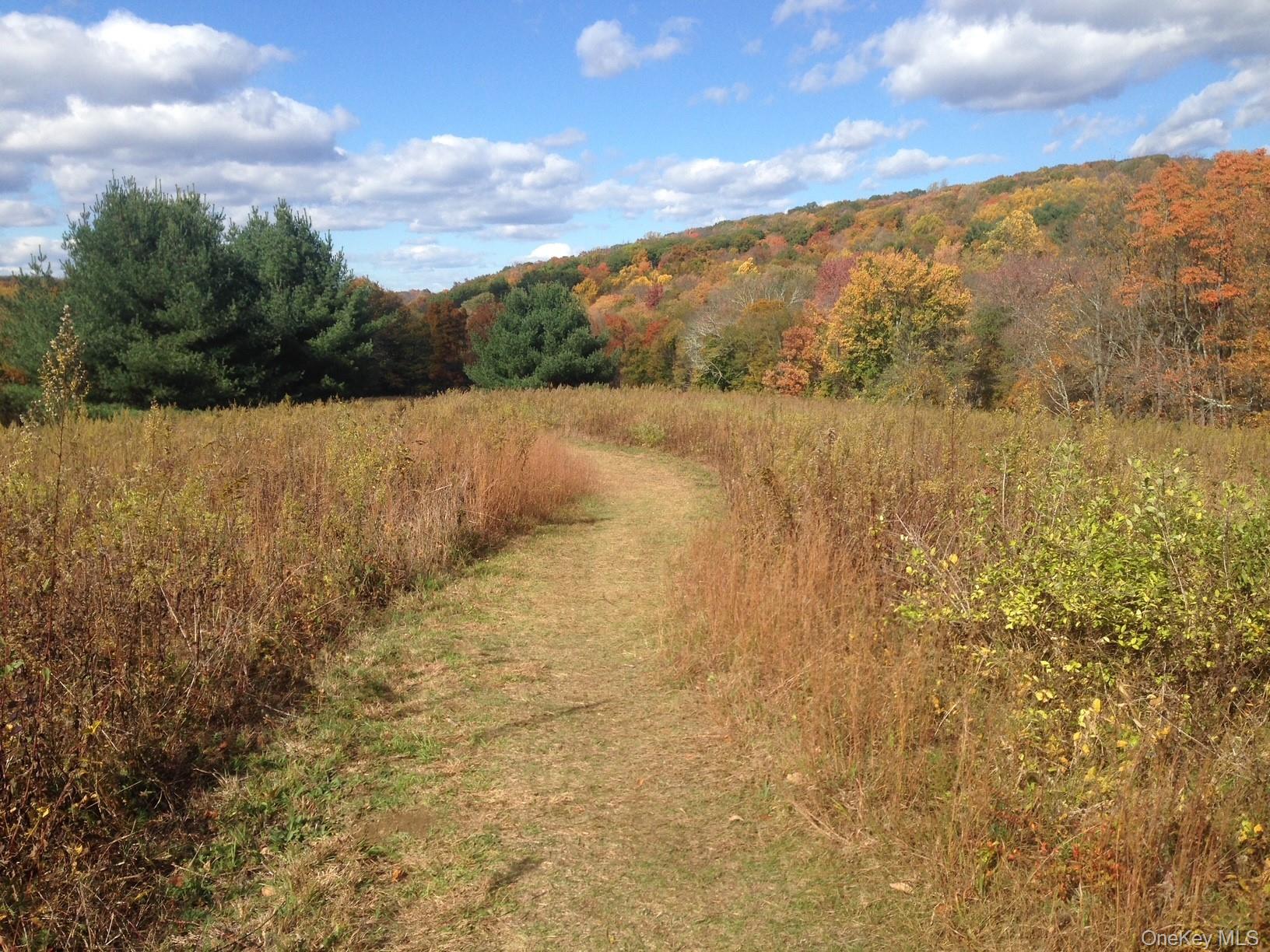 415 Sarles Street Mount Kisco, NY 10549 - Photo 43 of 43 The Nature Conservancy’s 250-acre Eugene & Agnes Meyer Preserve
