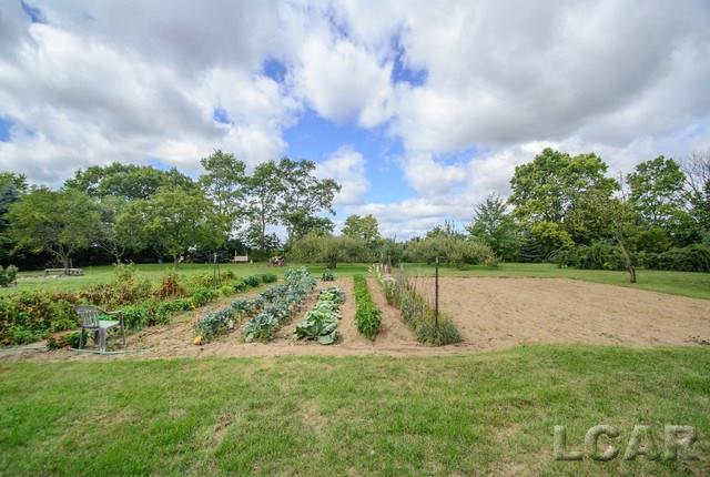 12650 North Ridge Road Milan, MI 48160 - Photo 52 of 61