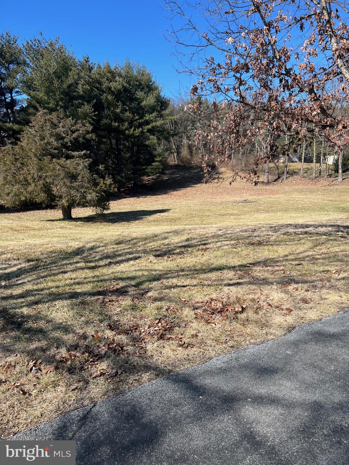 11402 Boyd Road Clear Spring, MD 21722 - Photo 6 of 14 Side Yard