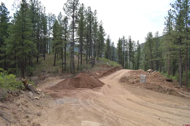 a view of a road with trees