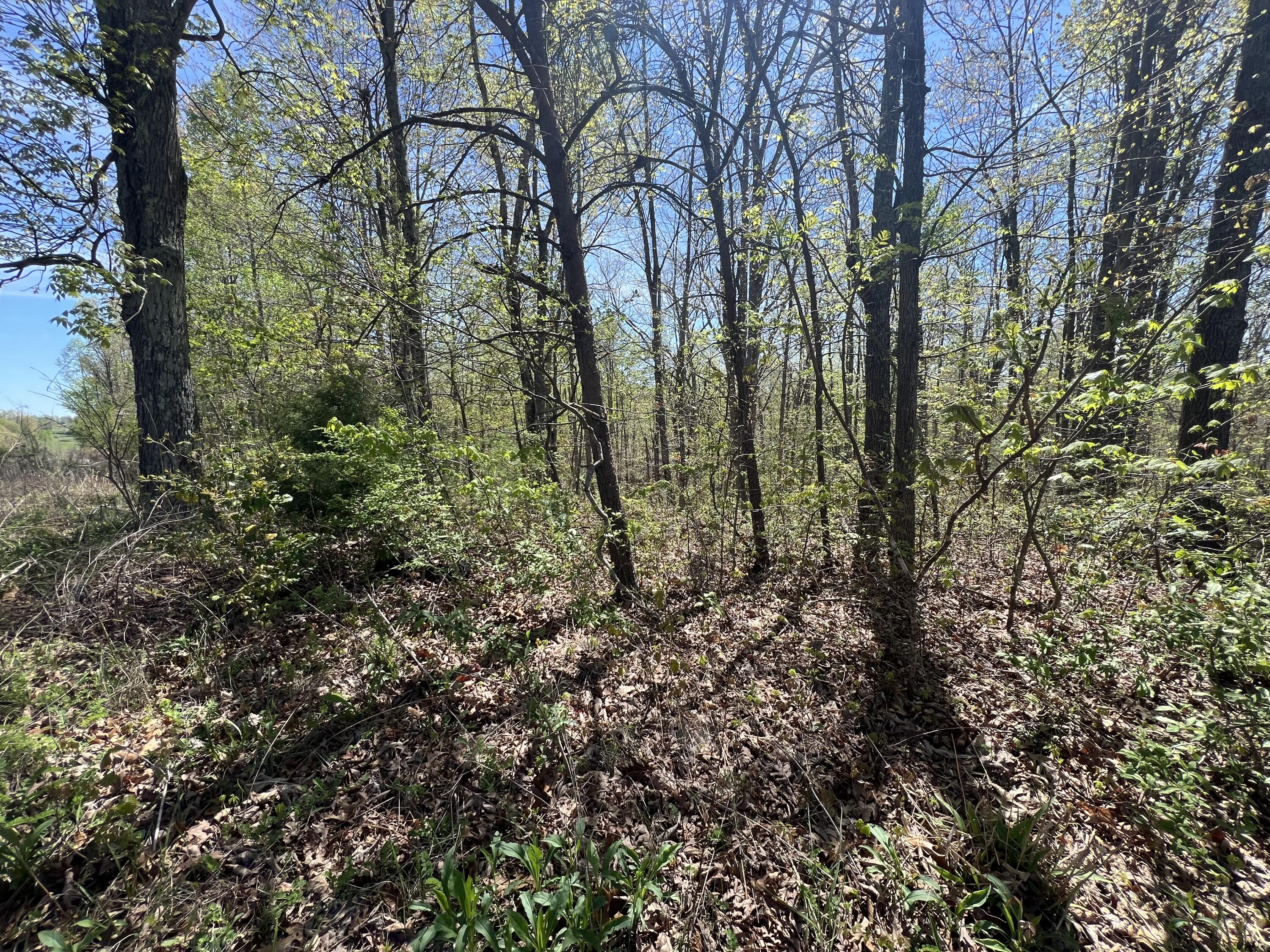 1301-tbd Minor Road West Liberty, KY 41472 - Photo 5 of 15 Photo Apr 18, 12 01 30 PM