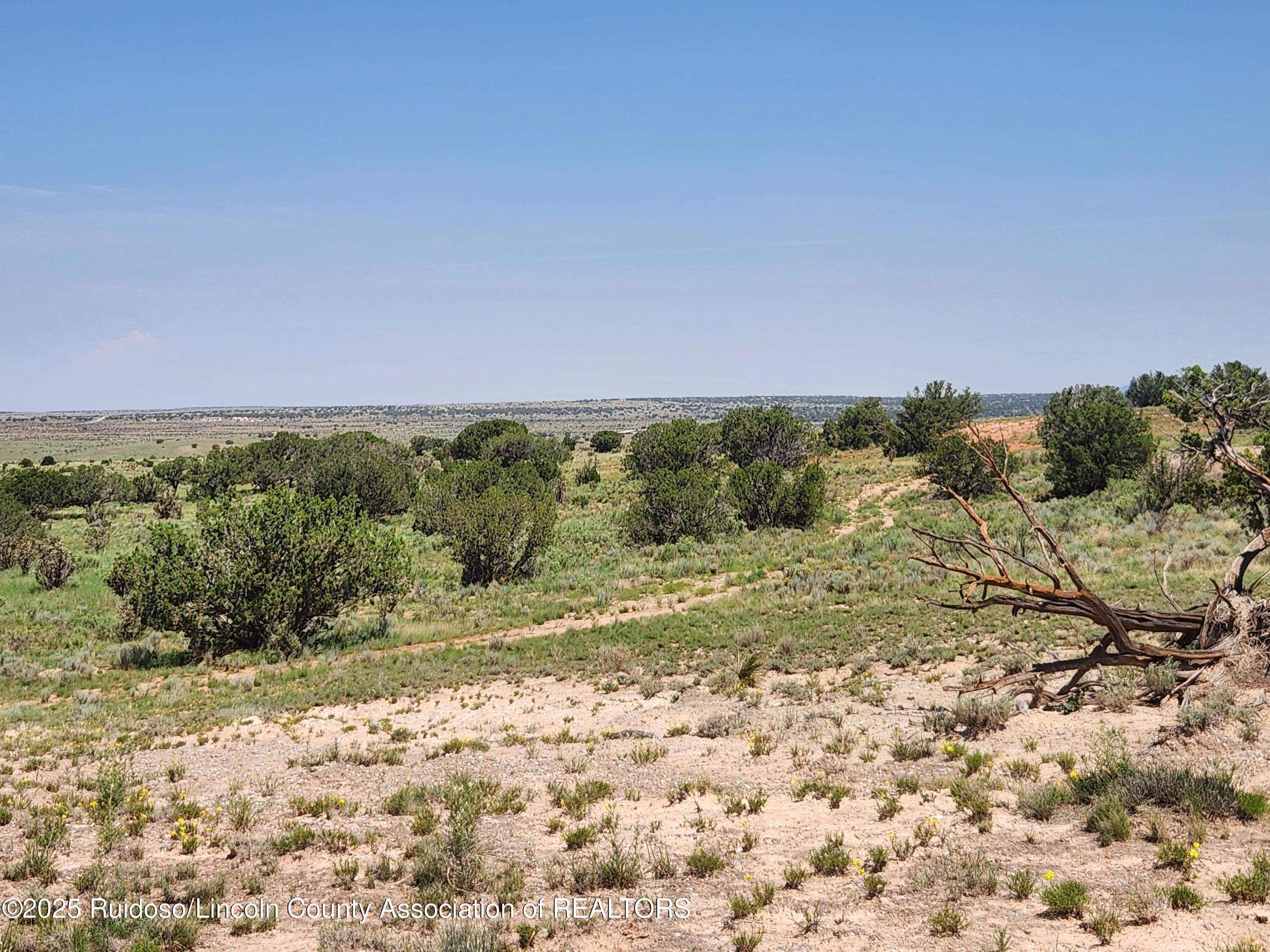 312 Windmill Road Carrizozo, NM 88301 - Photo 51 of 70 Gallery Image 51