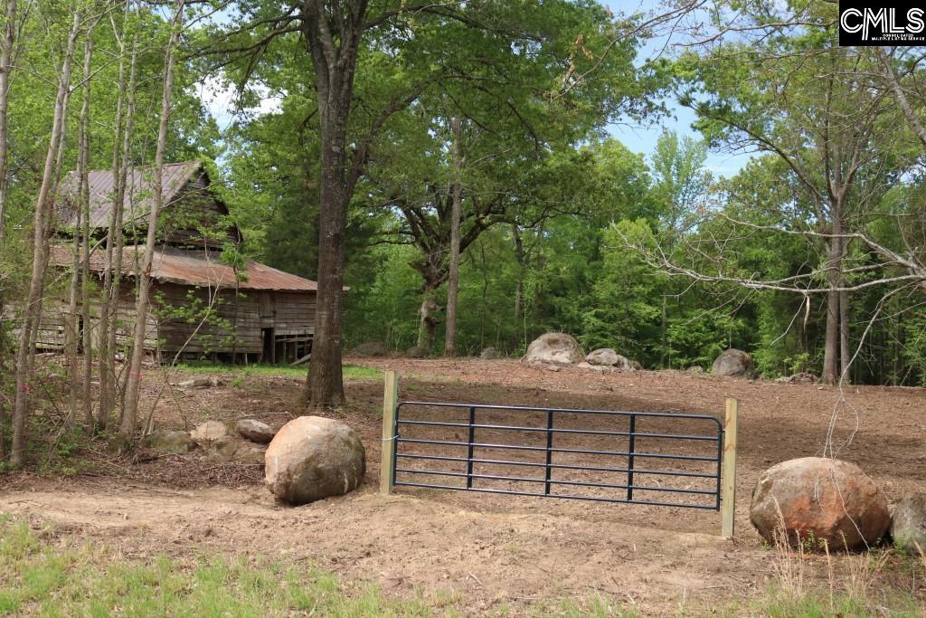Beulah Road Leesville, SC 29070 - Photo 18 of 19