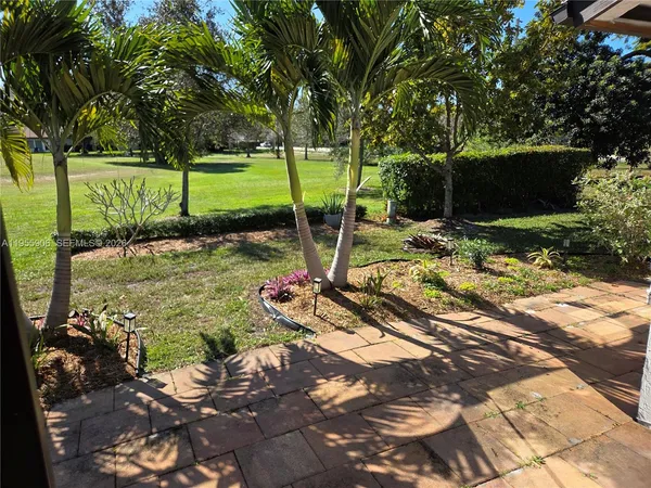 a view of a garden with plants and large trees