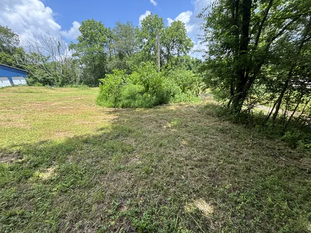 a view of a yard with plants and large trees