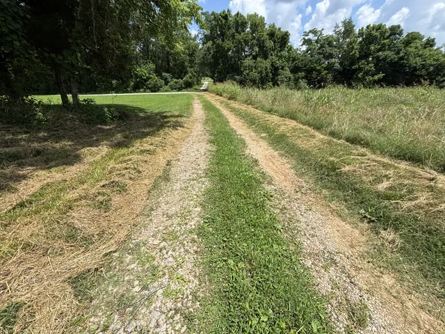 a close view of a closet