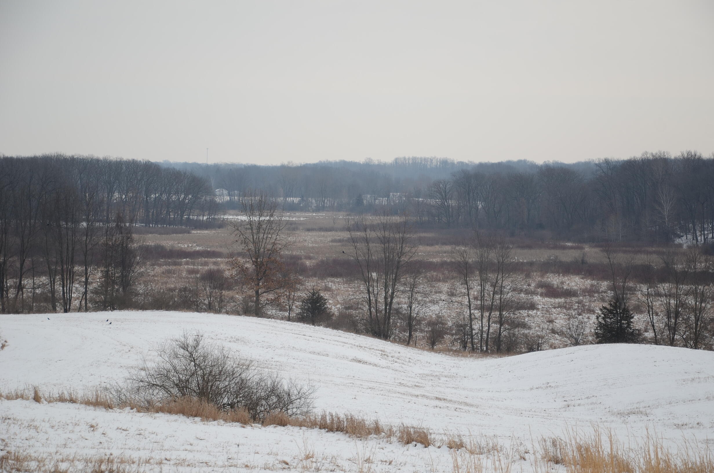 Dew Road Horton, MI 49246 - Photo 1 of 42 DSC_4430
