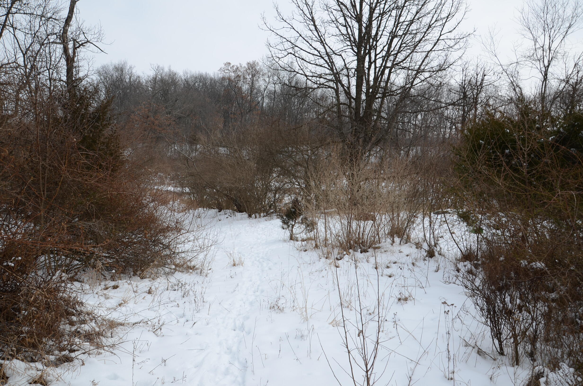 Dew Road Horton, MI 49246 - Photo 12 of 42 DSC_4435