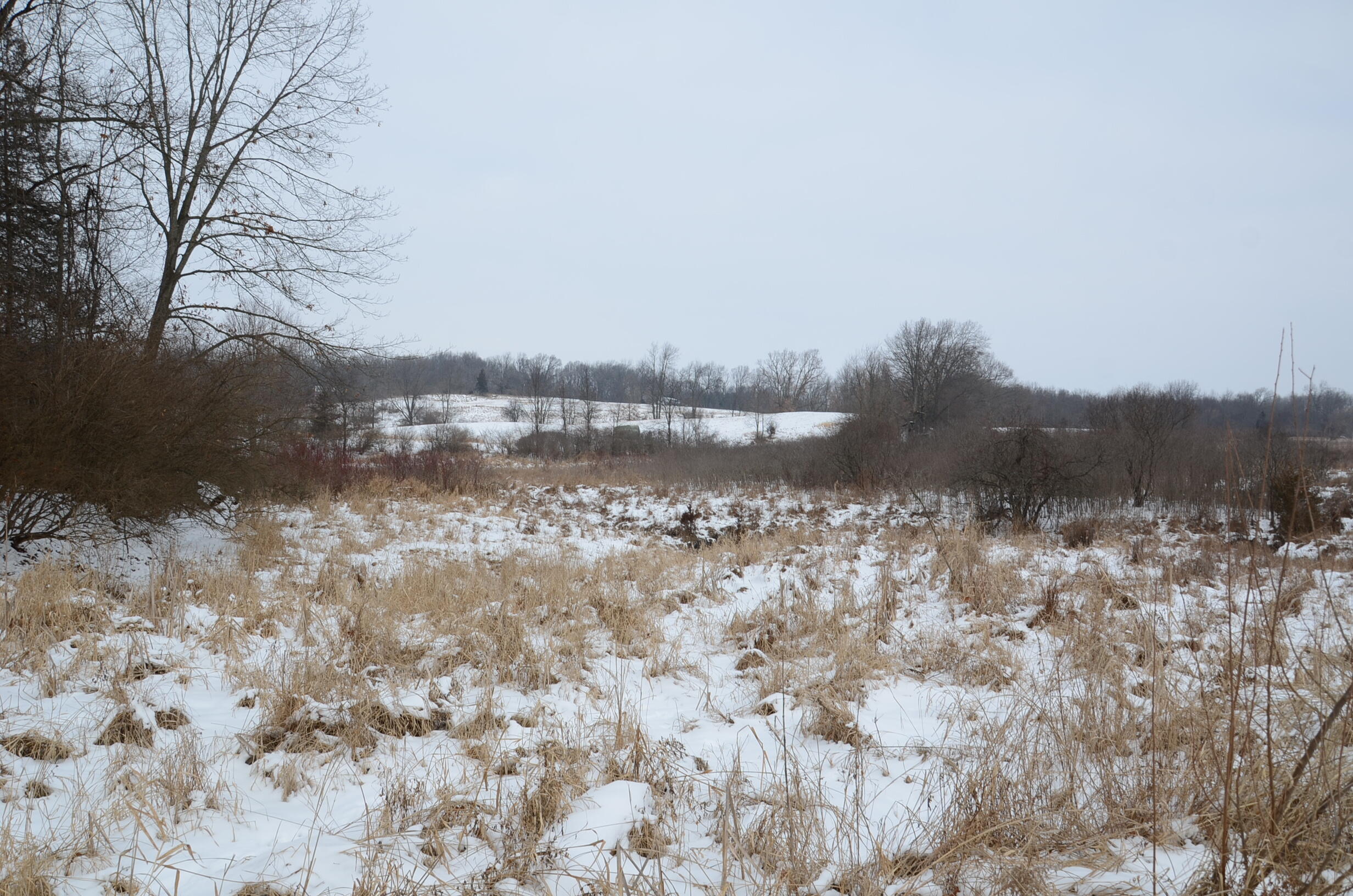 Dew Road Horton, MI 49246 - Photo 13 of 42 DSC_4436