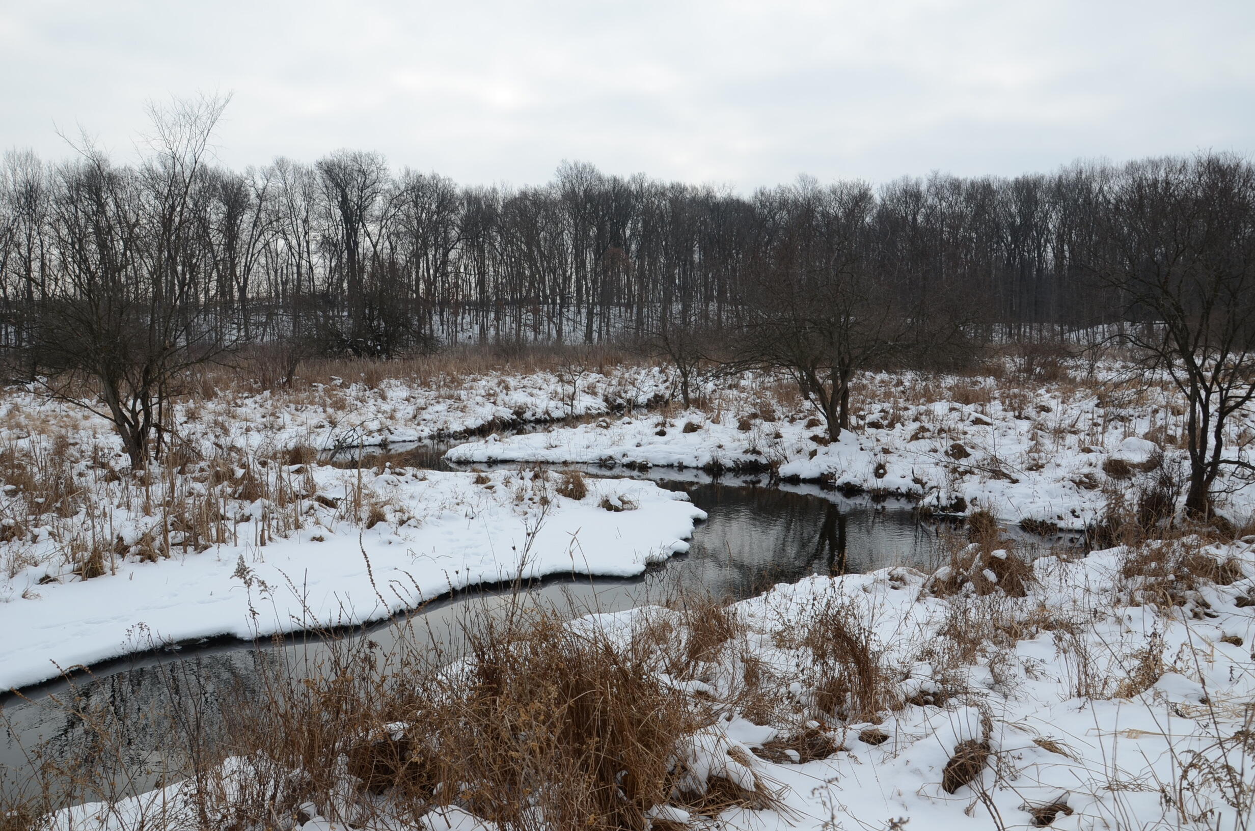 Dew Road Horton, MI 49246 - Photo 20 of 42 DSC_4439