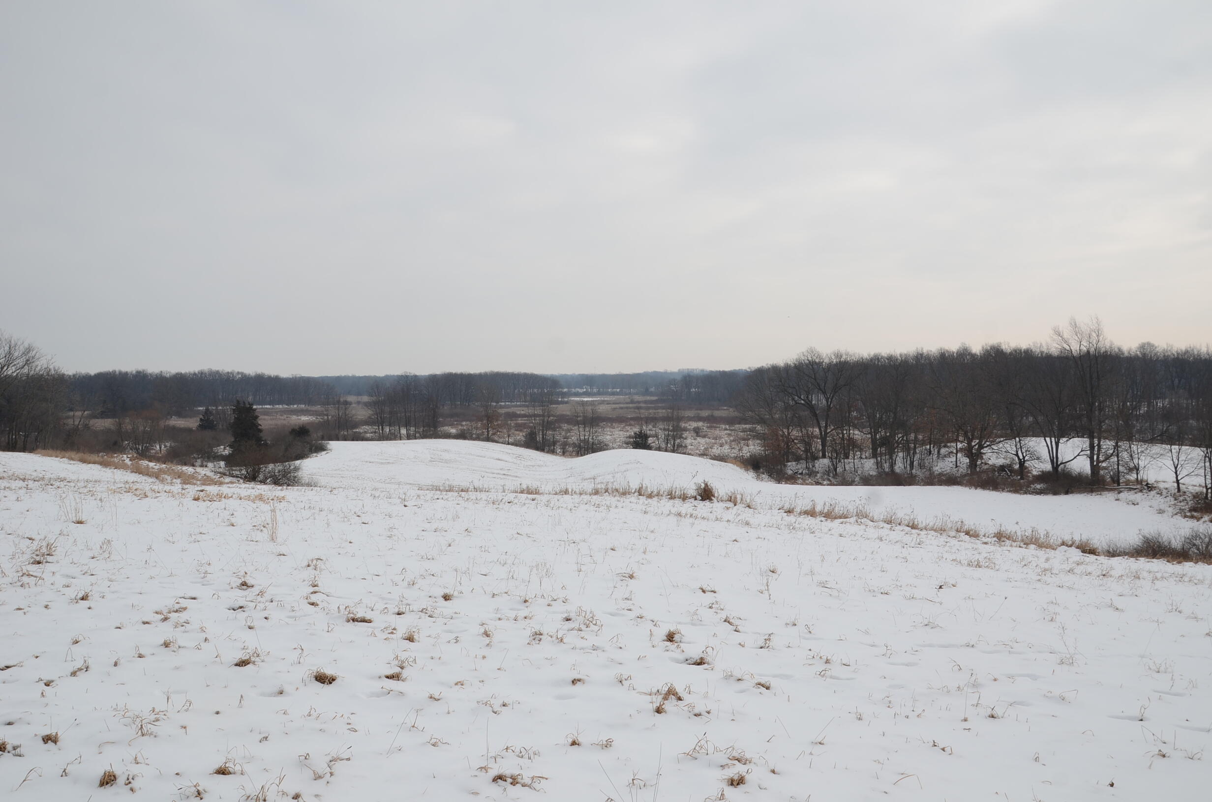 Dew Road Horton, MI 49246 - Photo 2 of 42 DSC_4424